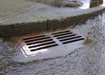 Bakıda yeni kollektorlar salınır