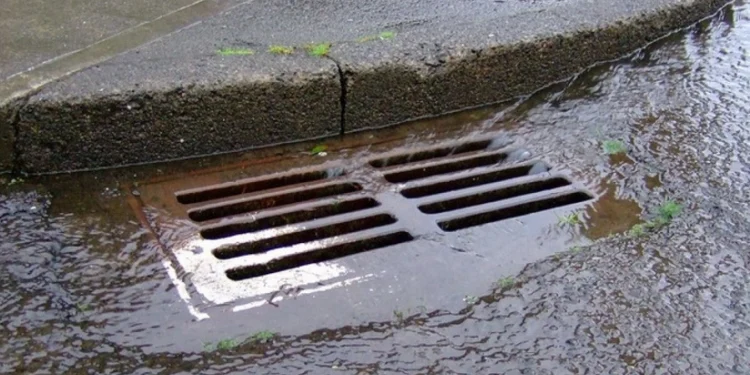 Bakıda yeni kollektorlar salınır