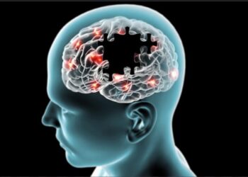 Qadınların beyinləri Alzheimer xəstəliyinə qarşı daha həssasdır – ARAŞDIRMA