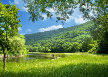 Sabah 35 dərəcə isti olacaq – PROQNOZ