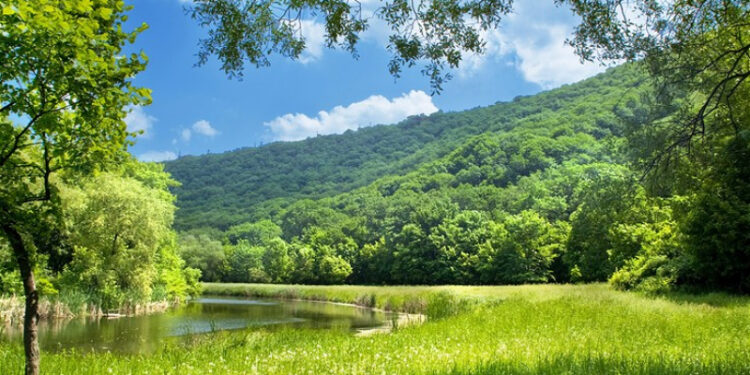 Sabah 35 dərəcə isti olacaq - PROQNOZ