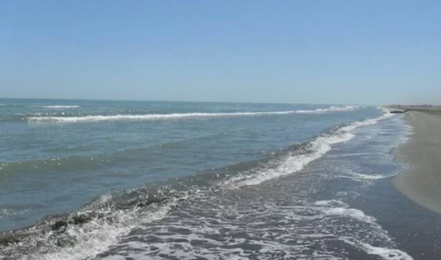 Xəzər dənizi niyə intensiv şəkildə quruyur? - Ekoloqdan AÇIQLAMA