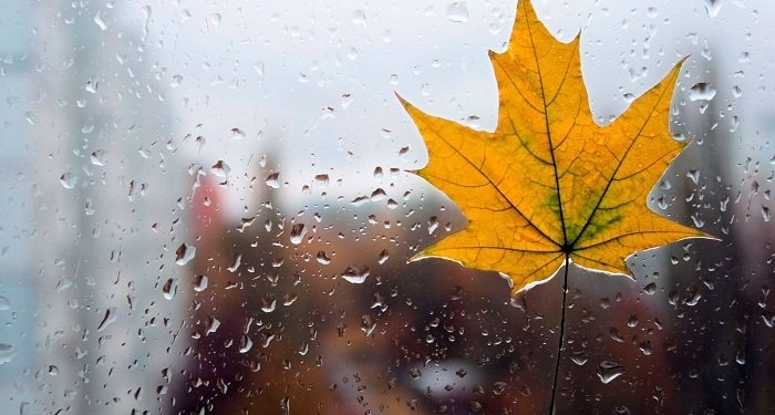 Növbəti iki gündə yağış və sulu qar yağacaq - XƏBƏRDARLIQ