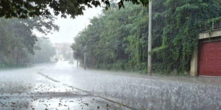 Yağış yağacaq, duman olacaq - SABAHIN HAVASI