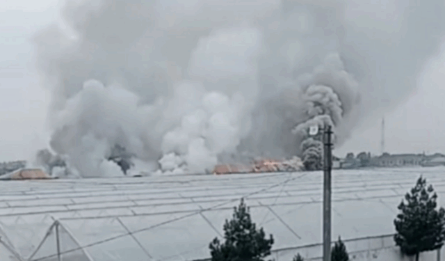 Bakıda istixana YANDI