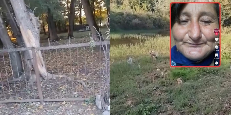 Qalınçaq kəndində nə baş verir? - VİDEO