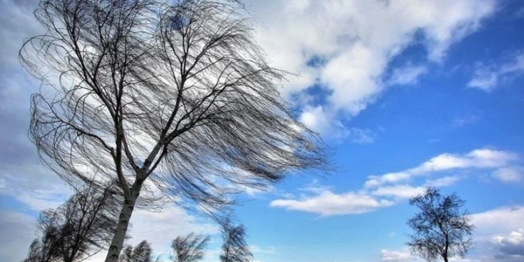 Bakıda və rayonlarda külək güclənəcək