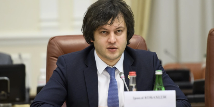 Kobaxidze Finlandiya XİN rəhbərinin dəvətini rədd edib