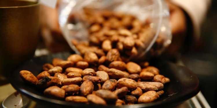 Bir fincan kakaonun kişilər üçün inanılmaz faydaları var - ARAŞDIRMA