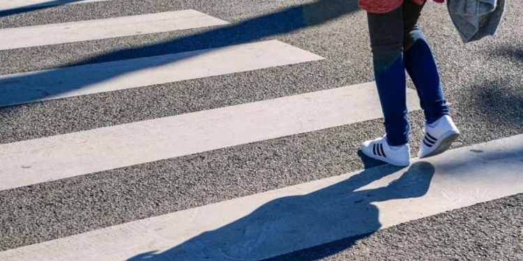 Bakıda baş verən qəzaların yarıdan çoxu piyadavurmadır - RƏSMİ