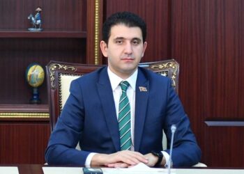 Azərbaycanla yaradılan gərginlik və uğursuz siyasəti məhz Makron hökuməti özü düzəltməlidir: