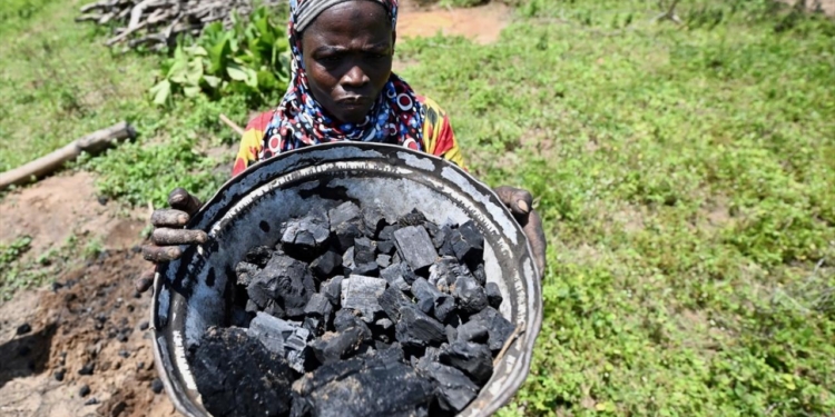 Qlobal kömür istifadəsi 2024-cü ildə rekord vurub