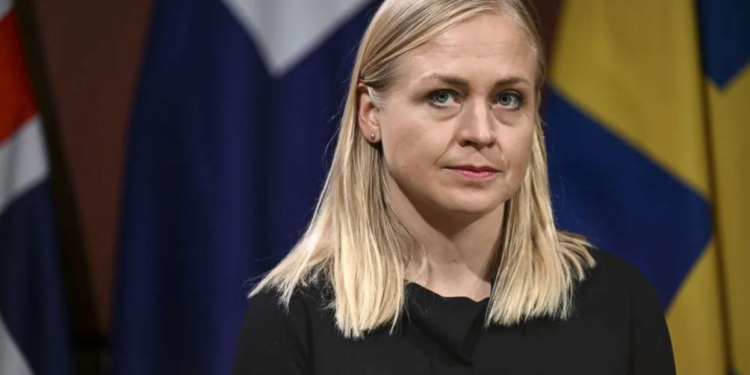 Kobaxidzenin ittihamlarına cavab verdi