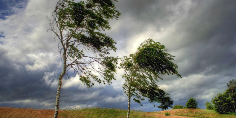Küləkli hava şəraiti ilə bağlı sarı və narıncı XƏBƏRDARLIQ 