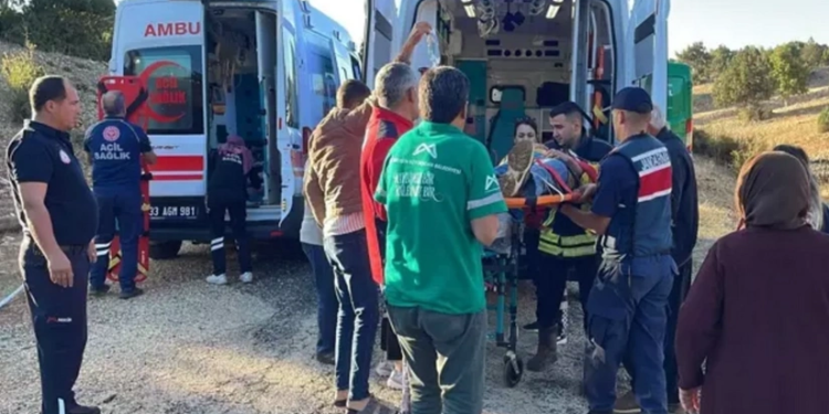 Azərbaycan nefti BAHALAŞDI