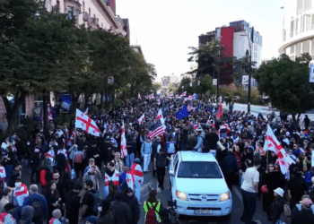 “Gürcüstan belə məsələləri Azərbaycanın dəstəyi ilə həll etməlidir” – AÇIQLAMA