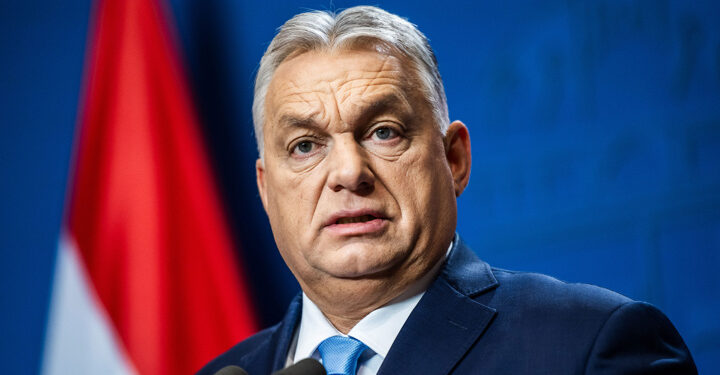 “Macarıstan avronu qəbul etməyəcək” - Orban