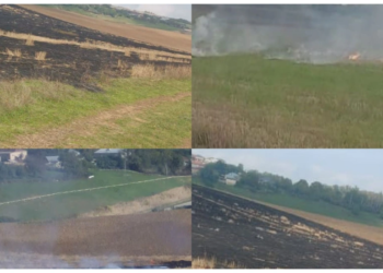 Qusarda əkin sahələrini yandıran 3 nəfər məsuliyyətə cəlb olunub