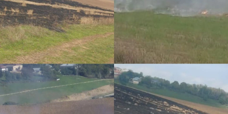 Qusarda əkin sahələrini yandıran 3 nəfər məsuliyyətə cəlb olunub