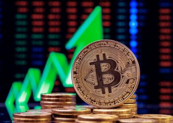 Bitkoin rekord həddə çatdı