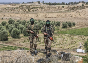 “Silahı ya özləri yerə qoyacaq, ya da biz onları tərksilah edəcəyik” – Trampdan HƏMAS-a XƏBƏRDARLIQ