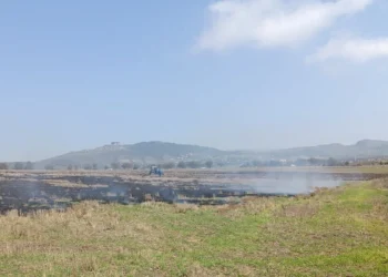 Şamaxıda yanğın törədən şəxs məsuliyyətə cəlb olunub