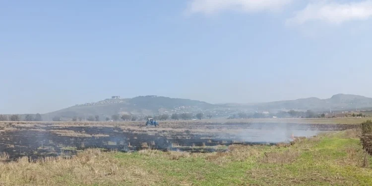 Şamaxıda yanğın törədən şəxs məsuliyyətə cəlb olunub