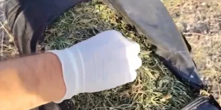 Qubada əməliyyat - 8 kq narkotik vasitə aşkarlanıb