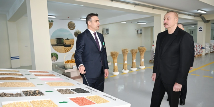 Prezident Sabirabadda toxum istehsalı müəssisəsinin fəaliyyəti ilə tanış olub