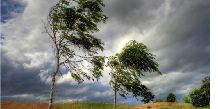 Bəzi rayonlarda külək güclənib - FAKTİKİ HAVA