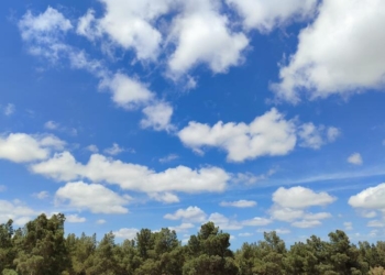 Sabah 24 dərəcə isti olacaq – PROQNOZ