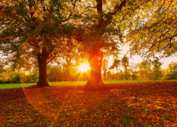 Azərbaycanda noyabrda havaların mülayim keçməsinin səbəbi açıqlanıb