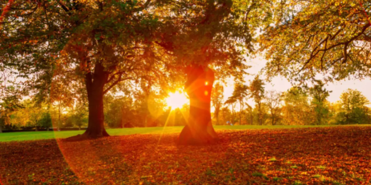 Azərbaycanda noyabrda havaların mülayim keçməsinin səbəbi açıqlanıb