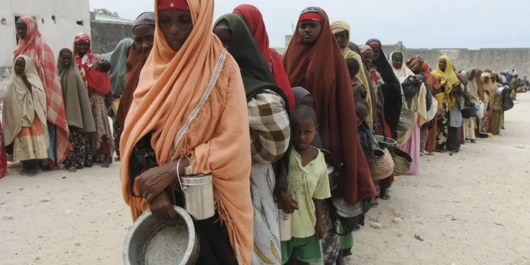 "Sudanda 21 milyondan çox insan qida çatışmazlığı ilə üzləşir" - BMT