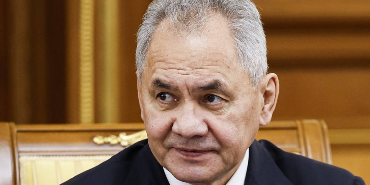 Sergey Şoyqu Misirə səfər edib