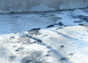 Ofisiantların öldüyü yerdən görüntülər – VİDEO