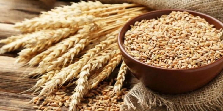 Azərbaycan Ermənistana nə qədər rus buğdası ötürəcək? - RƏSMİ