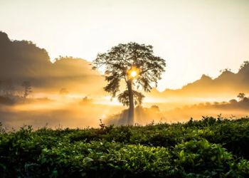 Bakıda 18, rayonlarda 20 dərəcə isti olacaq – PROQNOZ