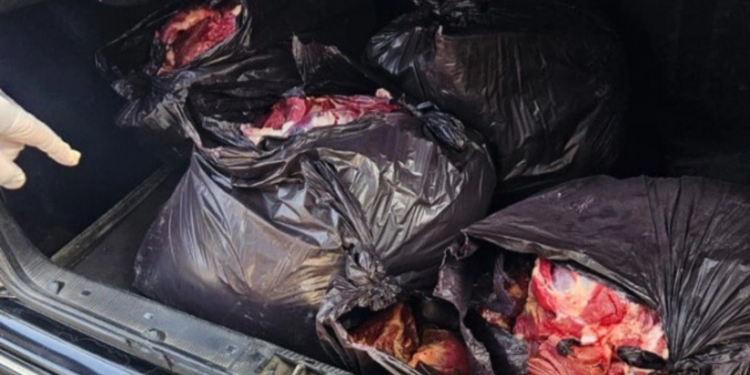 Bərdədə 154 kiloqram at ətinin satışa çıxarılmasının qarşısı alındı