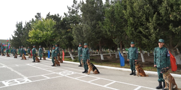 “Sərhədçilərin dostu” şüarı altında 7-ci kinoloji yarışları keçirilmişdir