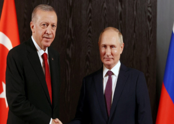 Putin və Ərdoğan ABŞ-ın Ukrayna ilə bağlı planını müzakirə ediblər