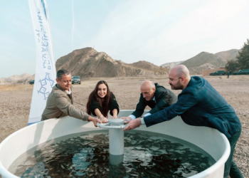 Leyla Əliyeva Mingəçevirdə ekoloji aksiyalarda iştirak edib