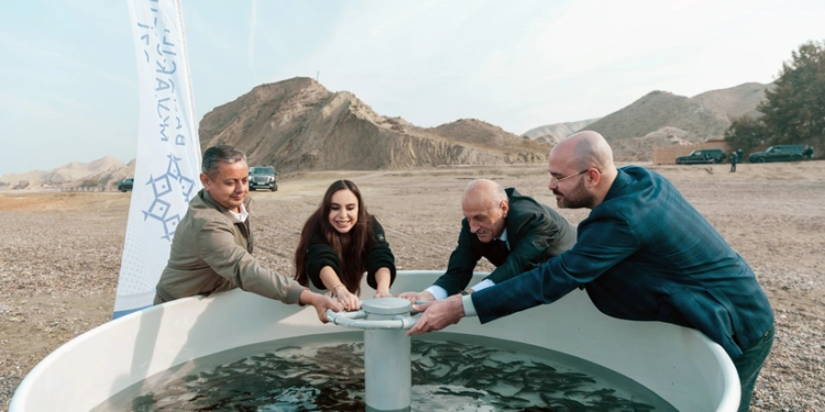 Leyla Əliyeva Mingəçevirdə ekoloji aksiyalarda iştirak edib