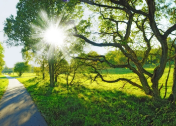 Sabah 24 dərəcə isti olacaq – PROQNOZ