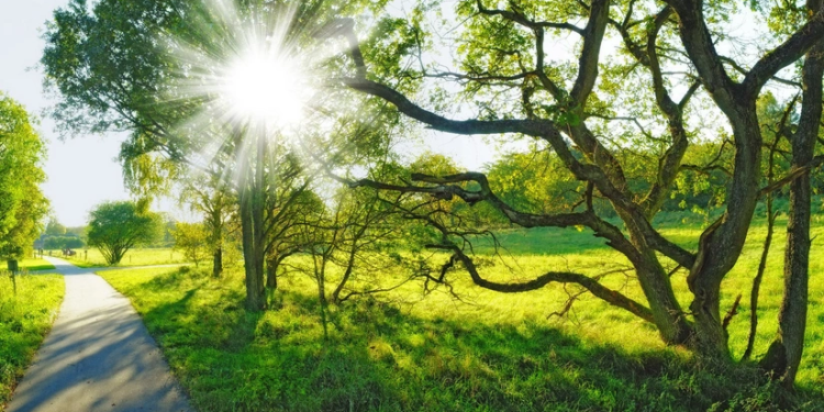 Sabah 24 dərəcə isti olacaq - PROQNOZ