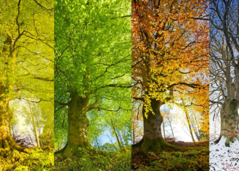 Gələn il fəsillərin Azərbaycana daxilolma vaxtları açıqlanıb