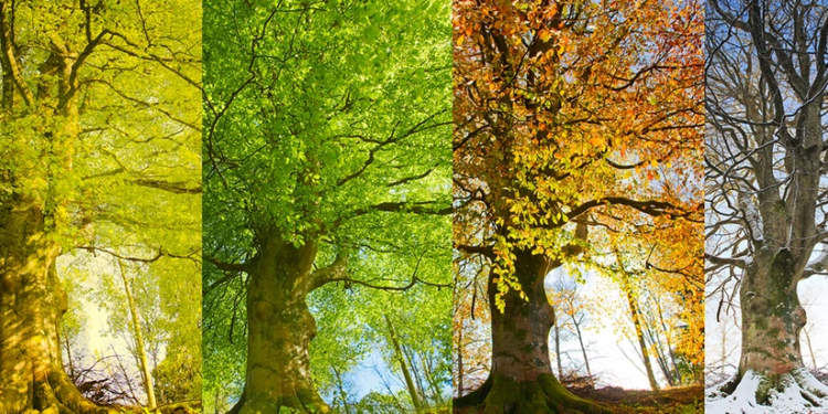 Gələn il fəsillərin Azərbaycana daxilolma vaxtları açıqlanıb
