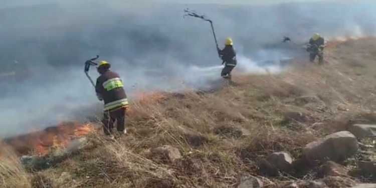 Gədəbəydə dağlıq ərazi yanır