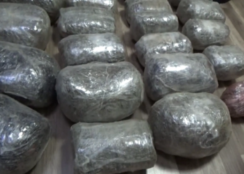 Sumqayıtda 28 kiloqramdan çox narkotikin satışının qarşısı alınıb