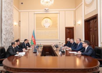 Fərid Əhmədov Gürcüstanın ədliyyə naziri ilə görüşüb